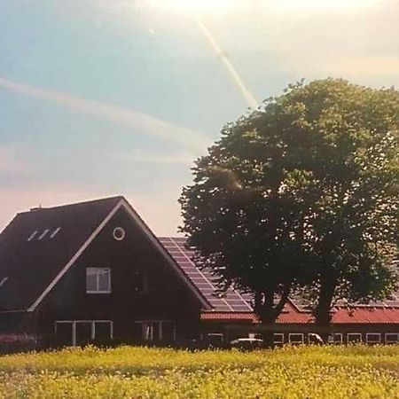 Apartmán Higgen Adamla Stedesdorf Exteriér fotografie
