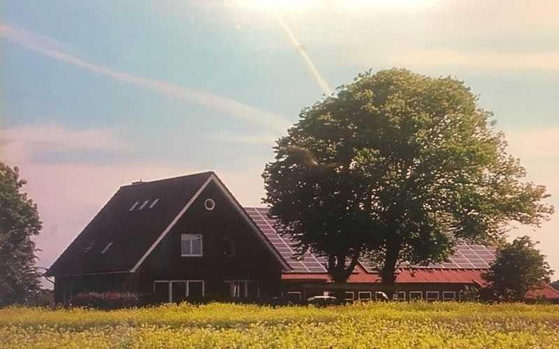 Apartmán Higgen Adamla Stedesdorf Exteriér fotografie